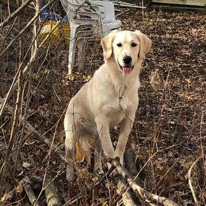 Meet your Posher, Casey